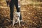 Cute dog sitting at owner legs in autumn woods. Traveling with pet, loyal companion. Adorable white swiss shepherd dog hiking with