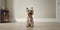 cute dog standing in minimalist living room