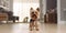 cute dog standing in minimalist living room