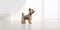 cute dog standing in minimalist living room