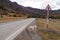 Cute dog standing by the road near Kurai Valley,Altai,Russia.