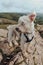 Cute dog standing on top of the Crook Peak in Mendip Hills, UK