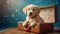 Cute dog with a suitcase look the apartment baggage funny ready purebred adorable