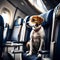 Cute dog travelling on the plane - ai generated image