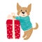 Cute dog in warm winter sweater with gift.