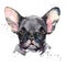 Cute dog. Watercolor puppy dog illustration.