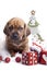 Cute doggy and Christmas decoration