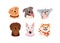 Cute dogs avatars set. Canine breeds, doggies heads portraits. Adorable muzzles, snouts of bull terrier, pudelpointer