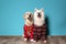 Cute dogs in Christmas sweaters on floor