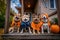 Cute dogs dogs wearing Halloween costumes sitting on decorated porch