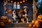 Cute dogs dogs wearing Halloween costumes sitting on decorated porch