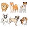 Cute dogs doodle vector set. Cartoon dog or puppy characters design collection with flat color in different poses.