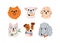 Cute dogs faces set. Funny puppies head portraits, avatars. Adorable doggies snouts of different canine breeds, Jack