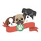 cute dogs isolated icon