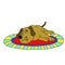 Cute dogs are sick and lying on the carpet cartoon illustration
