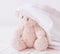 Cute doll playful in white blanket, Teddy bear play hide and seek with a best friend have fun in the morning