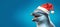 cute dolphin in Christmas hat on solid blue background,the concept of advertising banner,copy space