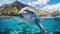 Cute dolphin swims in sea water, funny portrait of wild animal, ocean underwater life. Theme of wildlife, travel, nature