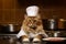 Cute domestic cat dressed as a chef, skillfully cooking nutritious meals in the kitchen