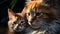 Cute domestic cat, playful kitten, furry and fluffy, staring lovingly generated by AI