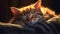 Cute domestic cat sleeping, fluffy fur, softness, relaxation, beauty generated by AI