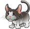 Cute Domestic Cat Vector Illus