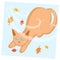 Cute domestic ginger cat in the cold autumn weather