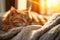 Cute domestic ginger cat sleeps calm and sweetly on knitted blanket in comfort