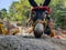 A cute donkey in a village in Pakistan