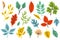 cute doodle colored autumn leaves