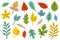 cute doodle colored autumn leaves