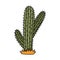 Cute doodle of saguaro cactus from Mexico or Wild West desert with hand drawn outline. Vector simple cacti flower with