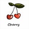 Cute double cherry in doodle style with outline. Doodle vector illustration. Cherry isolated on white background