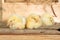 Cute downy yellow newborn Chicks sleep on the hay in a wooden box. The farming lifestyle