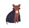 Cute dracula cat in vampire robe, cape. Halloween kitty with fangs. Scary funny feline animal in cloak. Childish flat