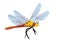 Cute dragonfly cartoon