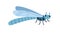 Cute dragonfly. Happy funny flying insect with wings. Adorable amusing smiling character with positive emotion. Childish
