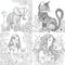 Cute drawings to color: animals, peoples, cats, night owl and girl with flowers. Cute drawings, night owl, girl with flowers