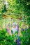 Cute dreamy child girl picking lupin flowers for bouquet on summer sunny field