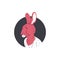 Cute dressed furry rabbit flat icon in black round, cartoon bunny hare in white T-shirt, vector red fluffy animal avatar