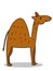 Cute dromedary