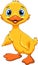 Cute duck cartoon