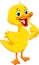 Cute duck cartoon