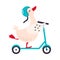 Cute Duck Character in Helmet Riding Kick Scooter Vector Illustration