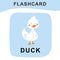 Cute duck flashcard. Cute farm animal. Educational printable flashcard. Colorful printable flashcard. Vector illustration