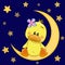 Cute Duck on the moon