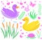 Cute duck set objects. Collection design elements with reeds, water lily, flowers, plants. Kids baby clip art funny