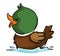 Cute Duck Swimming Color Illustration Design