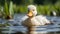 Cute duckling quacking in the pond, surrounded by nature generated by AI