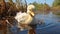 A cute duckling quacks by the pond in the meadow generated by AI